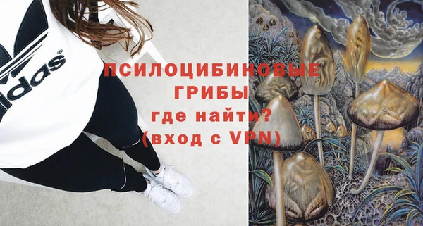 ГАЛЛЮЦИНОГЕННЫЕ ГРИБЫ Балахна