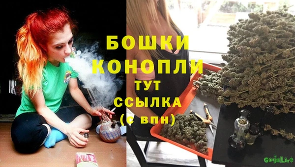 прущий лед Богородицк