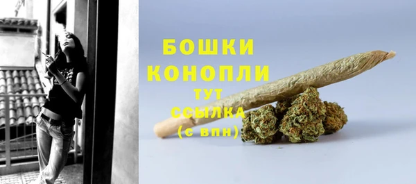 мдпв Богданович