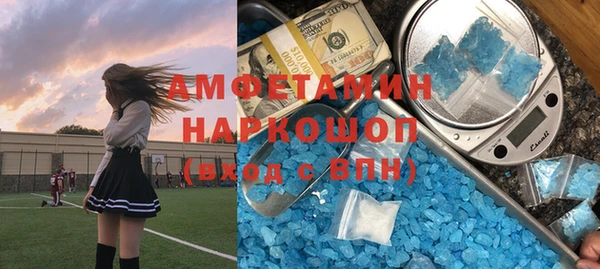 мдпв Богданович