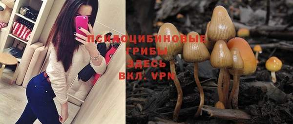 шишки Балабаново